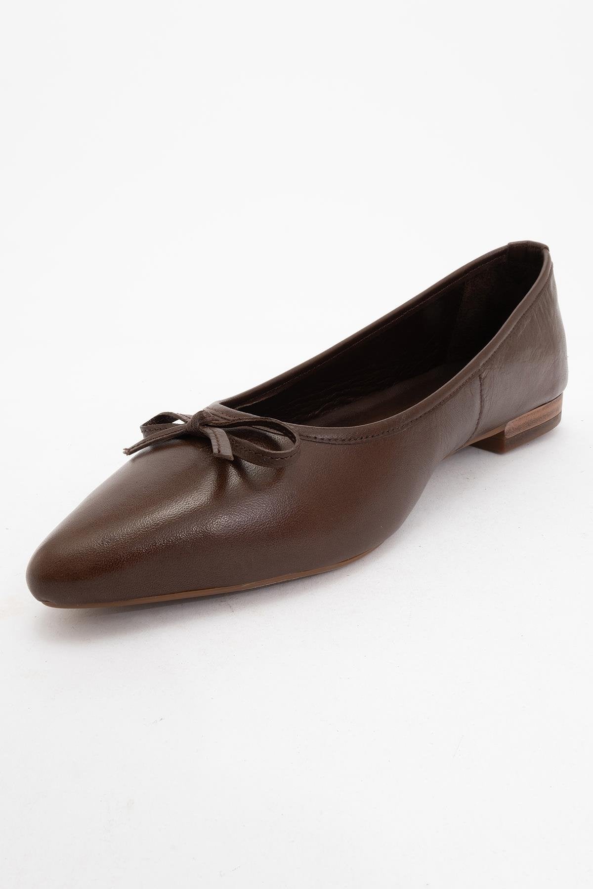 Ruby - Dark Brown Pointed Toe Leather Flats – detail view showing bow, leather, Vowalisse