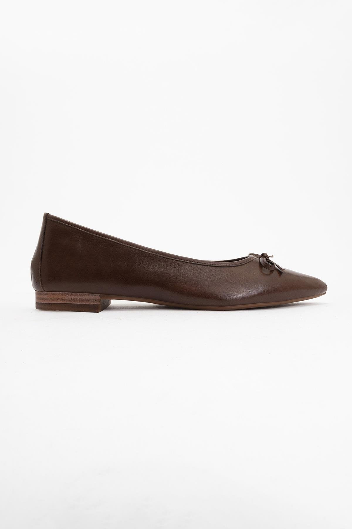 Ruby - Dark Brown Pointed Toe Leather Flats – back view showing bow, leather, Vowalisse