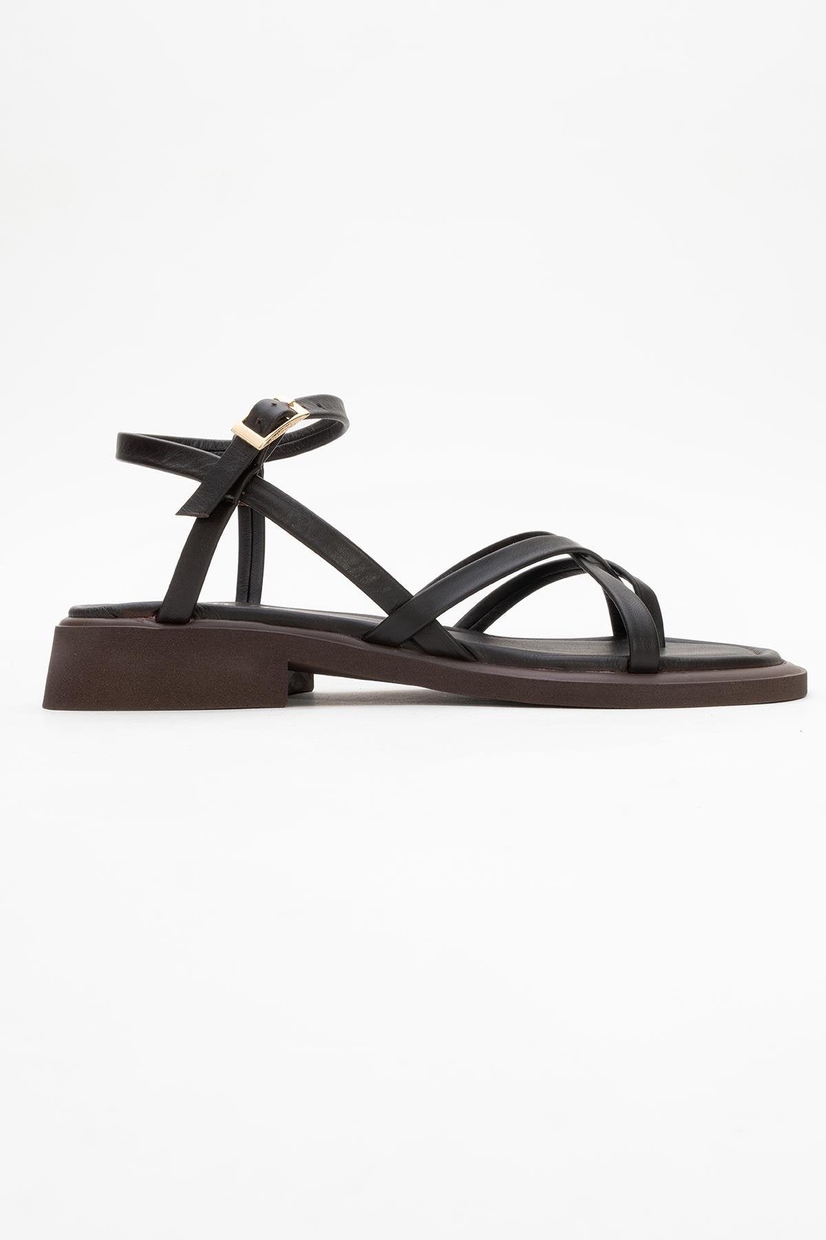 Antas - Brown Leather Sandals – top view showing leather, Vowalisse