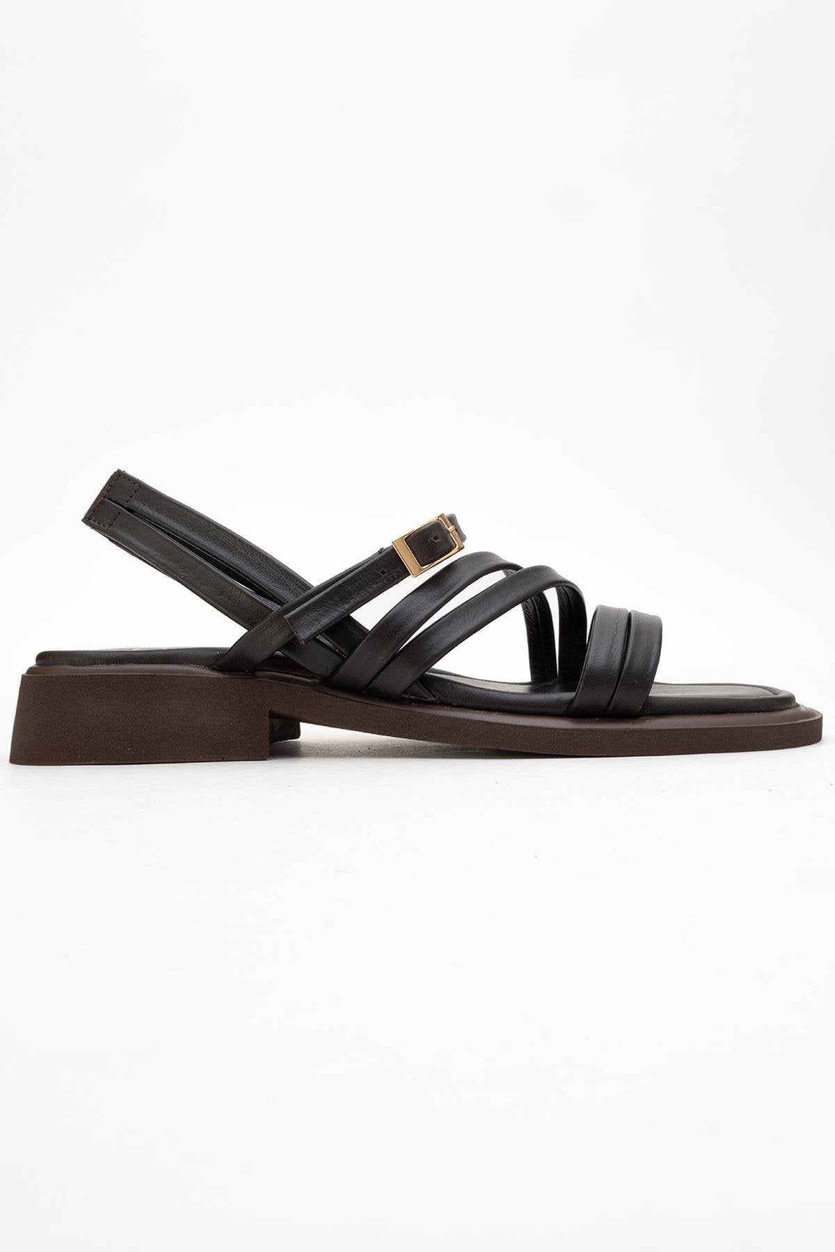 Cesar - Dark Brown Leather Sandals – top view showing leather, Vowalisse